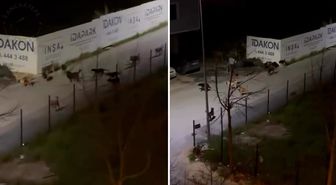 Sancaktepe'de ürküten manzara! Videoyu izleyenler belediye başkanını etiketledi