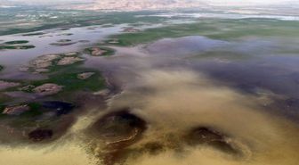 8 yıl sonra güz güldüren görüntü