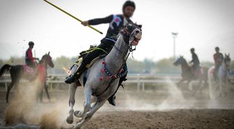 Cirit müsabakasında iki at çarpıştı, sporcu ağır yaralandı