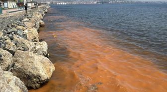 Görüntü Marmara'dan! Deniz turuncu renge büründü