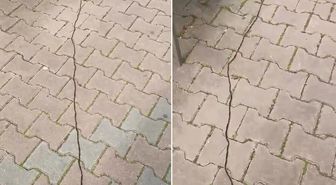 İstanbullular diken üstünde! Çam kese tırtılı böyle görüntülendi