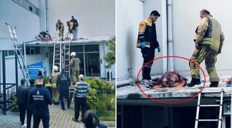Önce silah sesleri duyuldu sonra kadın kendini 6'ncı kattan attı