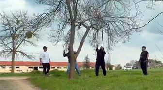 Eskişehir'de 'mangal için ağaç dalını kırmaya çalıştılar' iddiası