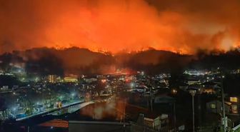 Japonya'nın Iwate eyaletinde orman yangını