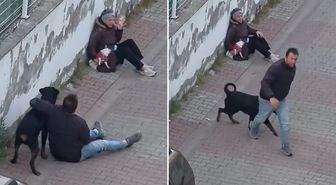 Rottweiler, küçük köpeğe saldırdı! Kadının çığlıkları mahalleyi inletti