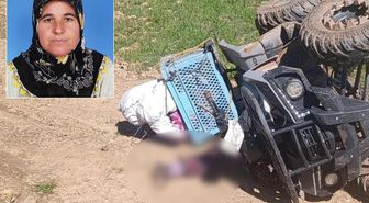 Hayvanlara bakmaya giden kadının acı sonu