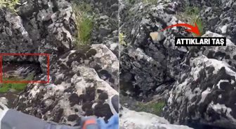 Diyarbakır'da bir garip olay! Korkup taşa tuttukları şey bakın ne çıktı