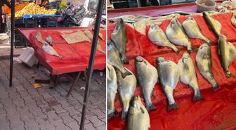 Pazarda kilosu 50 TL'ye satılıyor! Gıda mühendisi uyardı: Sakın almayın