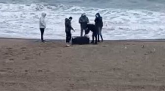 Sakarya'da sahile vuran çantadan 21,5 kg uyuşturucu çıktı