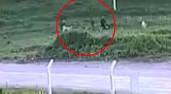 Baba ve oğlunun köpeklerine öfkelenip komşularını darbettiği anlar kamerada