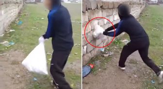 Van'da bir grup çocuk kediye böyle eziyet etti! Çuvala koyup duvara vurdular