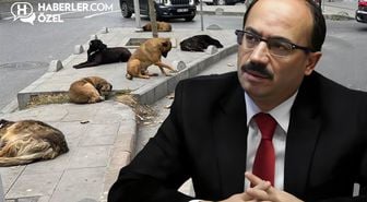 Köpeklerle ilgili sözleri gündem yaratan Osman Mesten'den ilk açıklama