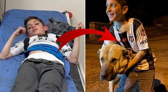Köyün kahramanı! Kral, bu kez 10 yaşındaki Sencar'ı kurtardı