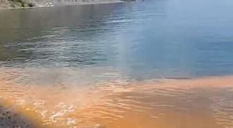 Marmara'da deniz suyundaki renk değişiminin altından planktonlar çıktı