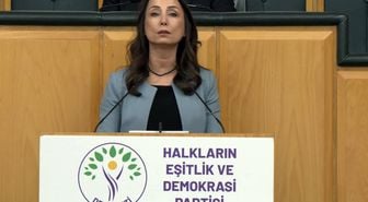 DEM Partili Tülay Hatimoğulları: Halkımızı alanlara davet ediyorum