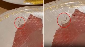 Restoranda şoke eden görüntü! Tabakta hareket eden canlı parazit buldu