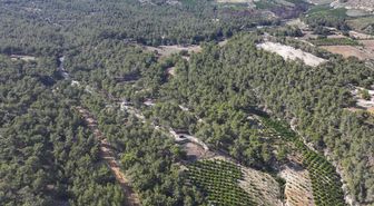Mersin'de ormanlık alanlara giriş yasaklandı