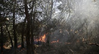 Fethiye'de çıkan orman yangını korkuttu