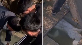 Görüntü Türkiye'den! Mezarlıkta bir garip olay: Cenazeyi gömüldüğü yerden çıkardılar