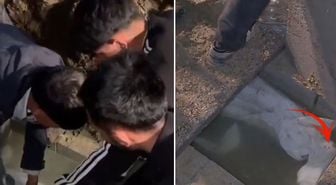 Görüntü Türkiye'den! Mezarlıkta bir garip olay: Cenazeyi gömüldüğü yerden çıkardılar