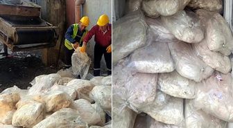 Tam 1 ton 200 kilo! Ekipler hemen el koydu