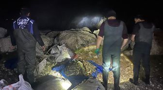 Tuşba'da kaçak avlanan 1 ton ölü, 200 kilo canlı inci kefali ele geçirildi