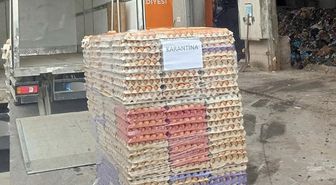 42 bin sahte organik etiketli yumurta imha edildi