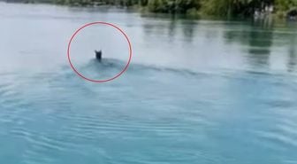 Fırat Nehri'nin ortasında görenler gözlerine inanamadı