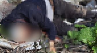 Dere kenarında bıçaklanarak öldürülmüş erkek cesedi bulundu
