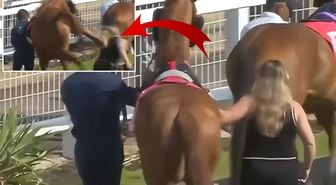 Yarış atı yanına yaklaşan seyise çifte attı! Genç kadın metrelerce savruldu