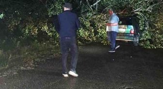 Bartın'da şiddetli fırtına: Ağaçlar otomobillerin üzerine devrildi