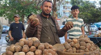 Görüntüsü patates gibi olsa da lezzeti çok başka: Kilosu 2 bin TL'den kapış kapış gidiyor