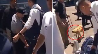 Dünya Kupası öncesi tarihi skandal! Milli Takımı narkotik köpekleriyle aradılar