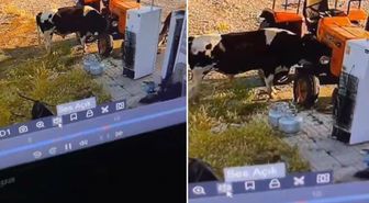 Yer: Konya! Görüntüsü olmasa kimsenin inanmayacağı bir olay daha