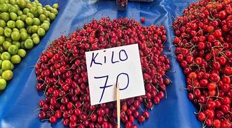 Festivalde cep yakan kiraz pazarda 70 liraya düştü! Vatandaş tezgahlara akın etti