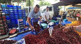 Festivalde cep yakan kiraz pazarda 70 liraya düştü! Vatandaş tezgahlara akın etti