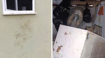 Bir günde 20 eve giren ayı yayla sakinlerini canından bezdirdi