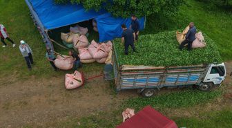 Karadeniz insanı yine zekasını konuşturdu, zor işi kolaylaştırdı