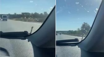 Seyir halindeki aracın kaputunda yılan paniği