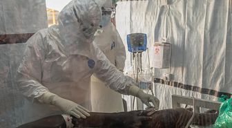Fransa'da ilk Ebola vakası! 5 kişi karantinaya alındı