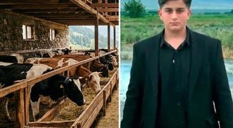 Iğdır'da büyükbaş hayvanın darbesiyle ağır yaralanan kişi hayatını kaybetti