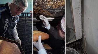 Fırındaki manzara mide bulandırdı! Zabıta müdürü görünce isyan etti
