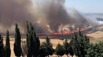 Büyükçekmece'de korkutan yangın! Rüzgarın etkisiyle büyüdü