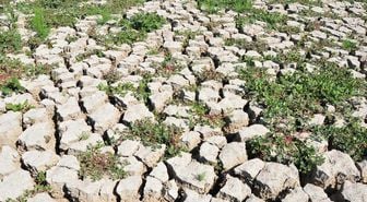 4 yıl önce kuruyan Marmara Gölü'nün son hali mest etti