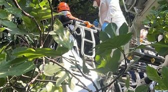 Hatay'da ağaca asılı halde cesedi bulunan şahsın kimliği belirlendi