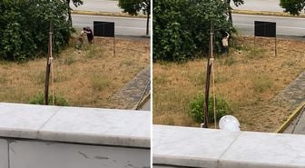 Kocaeli'nde, tartıştığı amcasını palayla öldüren yeğen yakalandı
