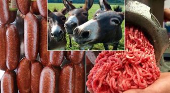 İki ilde alarm! Et ürünlerinde mide bulandıran bulgu