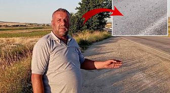 Tokat'ta binlerce kurbağa kara yolunu istila etti