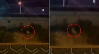 Görüntü Türkiye'den! Kimseye aldırmadan yol kenarında cinsel ilişkiye girdiler