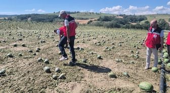 Süper hücre Tekirdağ'ı vurdu! Felaketin boyutu gün ağarınca ortaya çıktı